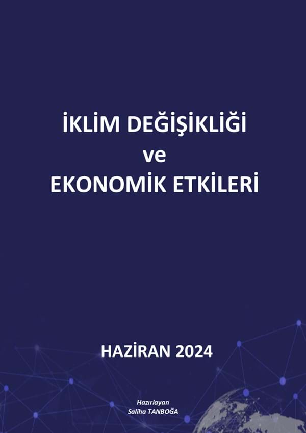 İklim Değişikliği ve Ekonomik Etkileri 